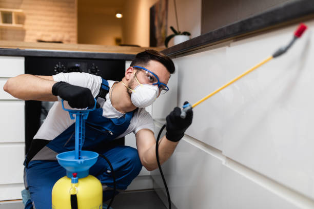 Best Wasp Removal Services  in Glendale Heights, IL