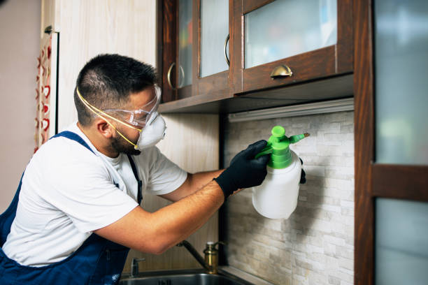 Best Affordable Pest Control Services  in Glendale Heights, IL
