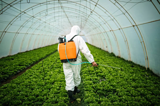 Best Pest Removal Services  in Glendale Heights, IL