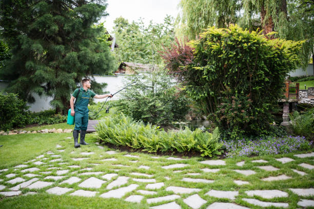 Best Emergency Pest Control  in Glendale Heights, IL