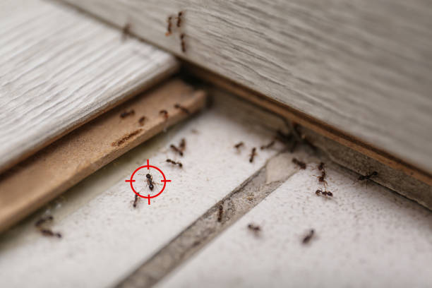 Glendale Heights, IL Pest Control Company