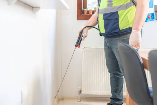 Best Local Pest Control Services  in Glendale Heights, IL