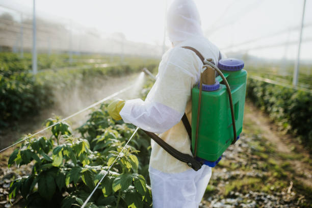 Best Flea Control Services  in Glendale Heights, IL